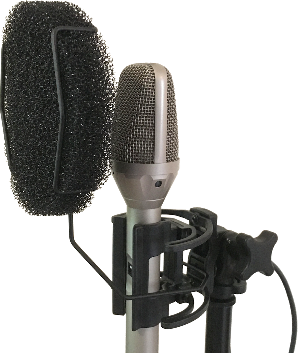 Violet Amethyst Vintage Cardiod Condenser Microphone 2017